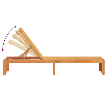 Transat en Bois d'Acacia Massif 200x55x30 cm